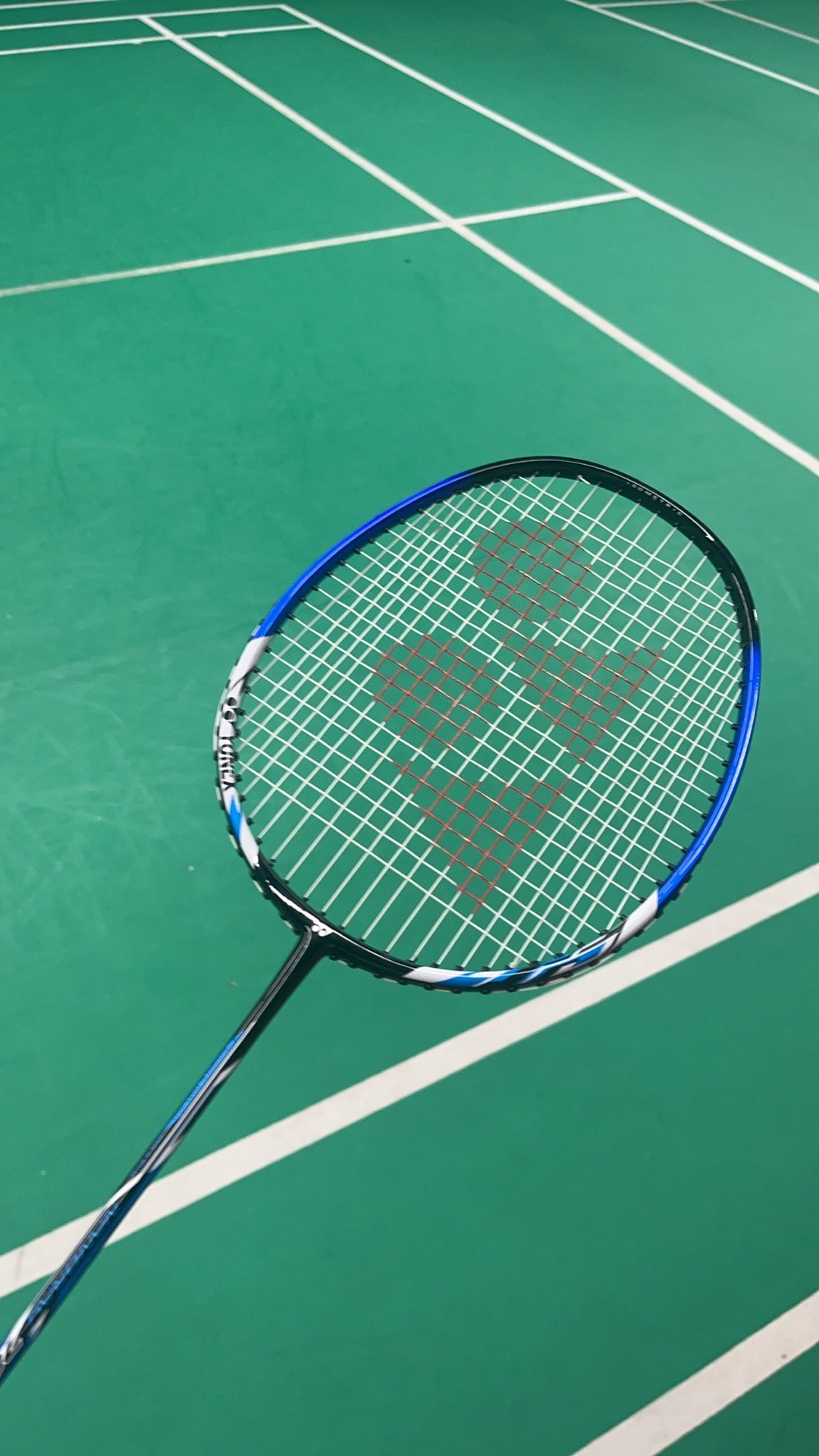 他们在比赛 他们在比赛