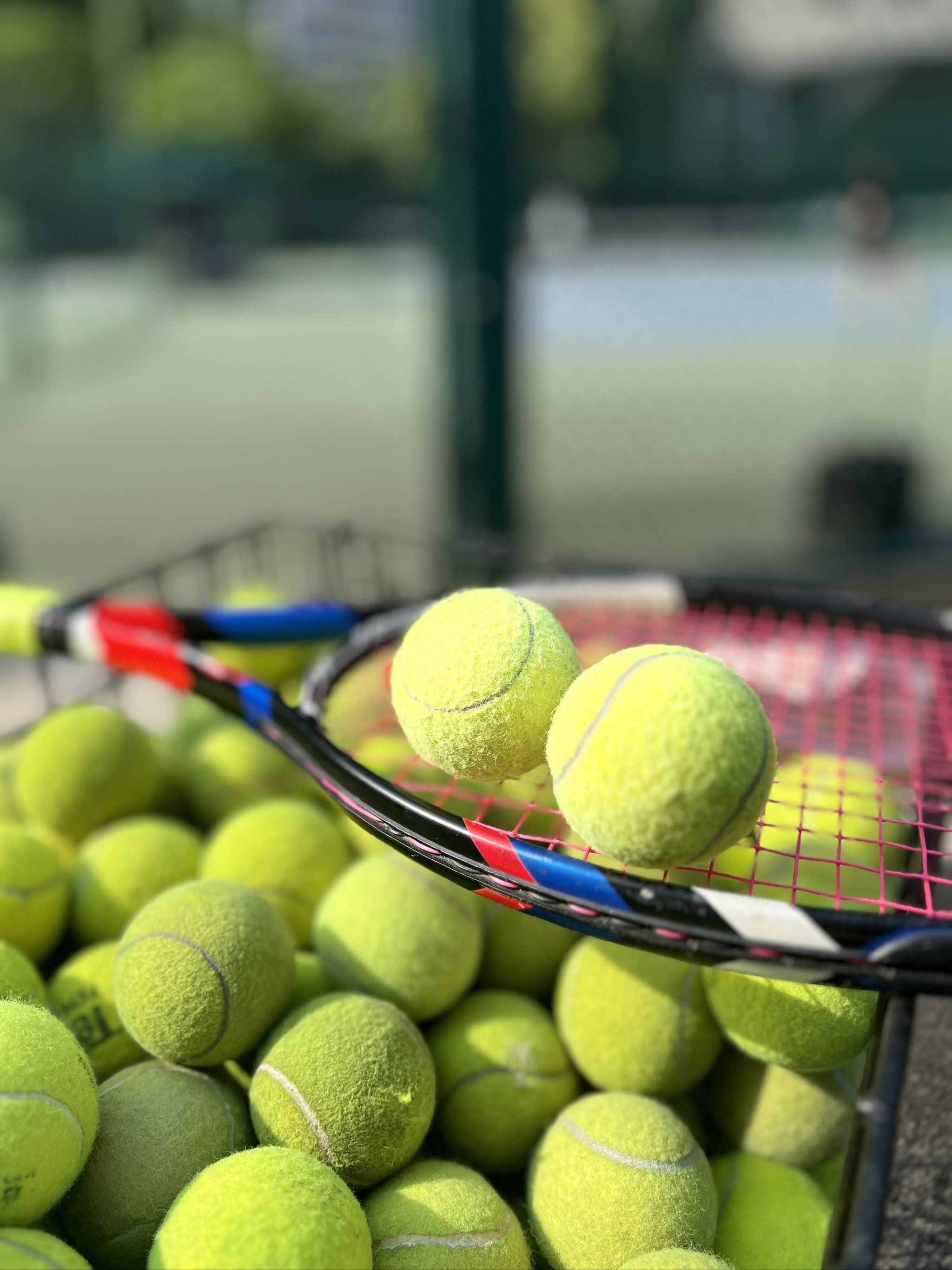 表现优异的 表现优异的